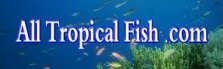 All Tropical Fish - Saltwater Fish, Corals and Freshwater Fish